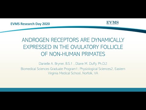 Thumbnail image of video presentation for Androgen Receptors Are Dynamically Expressed in the Ovulatory Follicle of Non-Human Primates