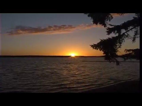 download lagu mp3 mp4 Vilsandi Island, download mp3 Vilsandi Island free downloadn, video klip Vilsandi Island