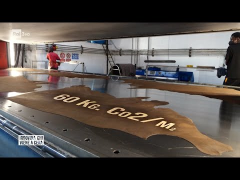 Un'altra pelle - Indovina chi viene a cena 03/09/2022