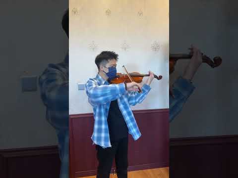 5 String Strad Handmade 4/4 Violin Outfit Italian Spruce European Flamed Maple image 8