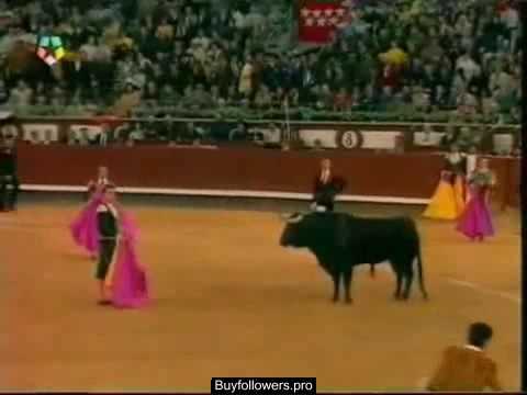 Espontaneo salta en Las ventas (Madrid)