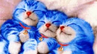 Repeal of the Licensing Laws   The POGUES