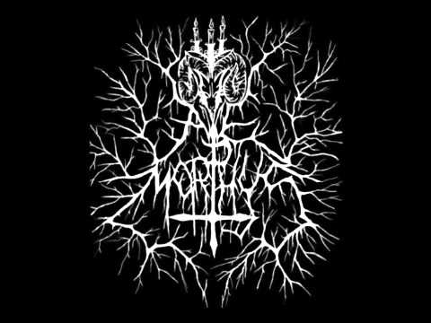 Ave Morphys - Lagrimas de Angel