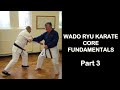 Wado Ryu Karate Fundamentals Part 3 - Nagasu, Inasu & Noru