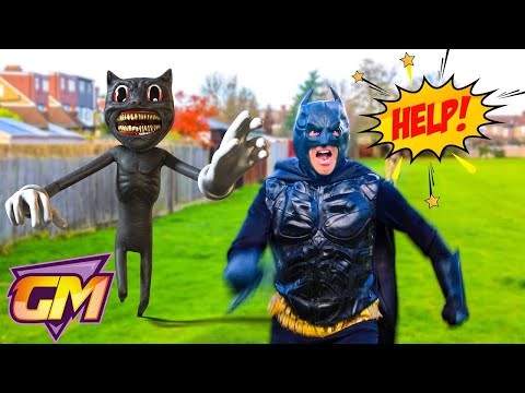 Cartoon Cat Vs Batman!