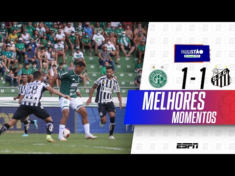 2022: O ano do futebol fica melhor com uma tela Toshiba - MKT Esportivo