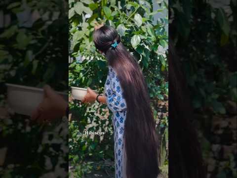 ✨Magical Hibiscus Hair Mask For All Hair Problems,Get Long Strong Silky Hair | #shorts #longhair