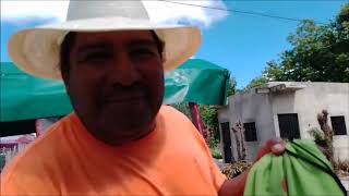 Reparación efectiva y code p0697 Seat