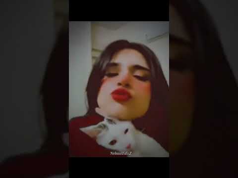 Nehaal Naseem with her Cat 🐱 #nehaalnaseem #cat #viral #punjabi #pakistani #trend #instareels
