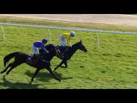Belmont Park, 30/07/2016 - Race 1 - DANITY TESS - Vince Collica & Jordan Turner