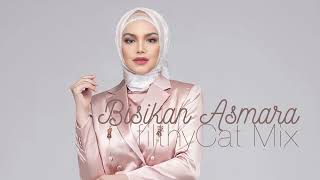 Download lagu Bisikan Asmara FilthyCat Remix - Dato' Sri Siti Nurhaliza mp3