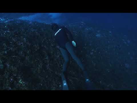 Chasing Bubbles from Scuba Divers