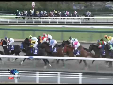 2014.12.07 Champions Cup (formerly Japan Cup Dirt) - Hokko Tarumae