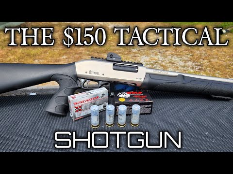 $110 Semi Auto Shotgun? (CITADEL SHOTGUN) #gun #civtac #demolitionranch