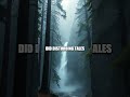 The Vanishing Firefalls of Yosemite