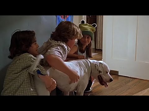 Cheaper by The Dozen Meat Sauce Soaked Boxers prank FULL HD