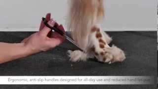 Andis Premium Pet Grooming Tools - 7 inch Shears, 65280