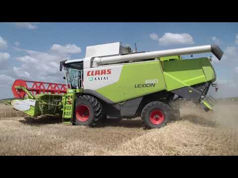 Páli - Nyár 2019 - - - Claas Lexion 600 & 650 - - -