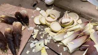 樫内利政 撮影　 自然のグルメ情報です。