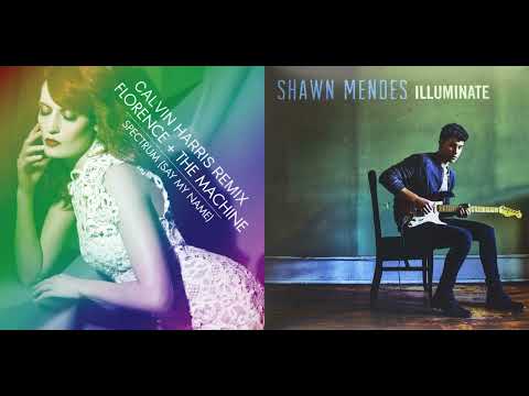 Florence + The Machine - Spectrum (remix) VS Shawn Mendes - There's Nothing Holdin' Me Back (mashup)