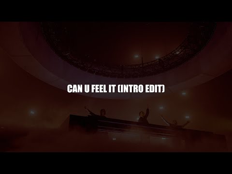 Swedish House Mafia - Can U Feel It (Intro Edit)