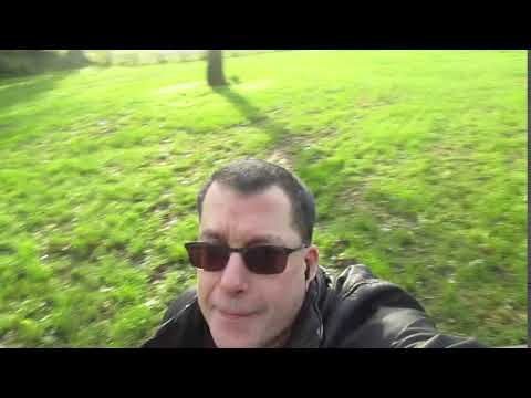 boris vs dogs 2019 ge ger