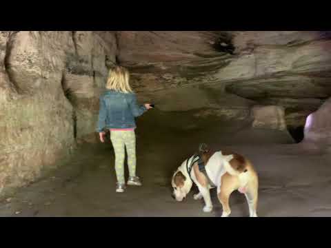 Schüler,s on Tour - Daneilshöhle im Huy Vorharz