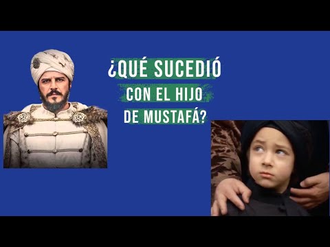 ¿QUÉ SUCEDIÓ CON MEHMED? - El hijo de Şehzade Mustafá.   #seriesturcas #elsultán #historia #history