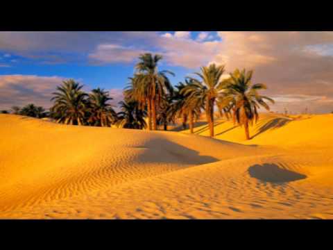 Paso Doble feat Bims - Born To Cry (Punk's Afro Soul Remix)