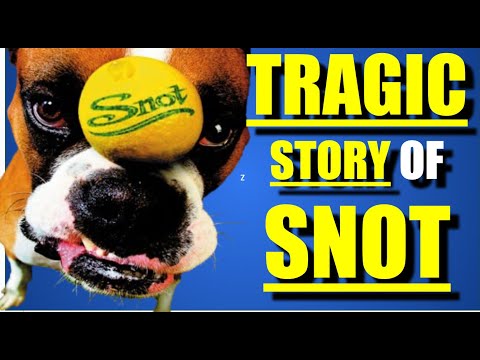 The TRAGIC HISTORY of SNOT & LYNN STRAIT (Version 2.0)