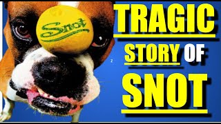 The TRAGIC HISTORY of SNOT &amp; LYNN STRAIT (Version 2.0)