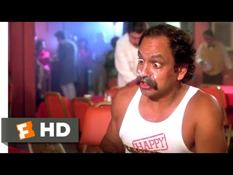 Cheech & Chong's Nice Dreams (1981) - Under the Table Scene (4/10) | Movieclips