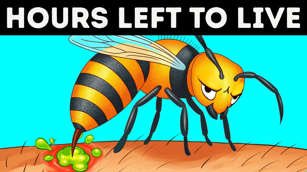 Bee Facts That Flip Your World Upside Down