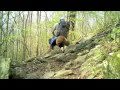 On a Thru-Hike with a dog - Appalachian Trail 2010 ...