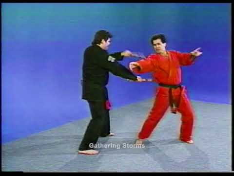 American Kenpo - Mohamad Tabatabai - Long 7 Techniques
