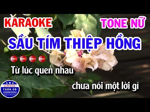 Karaoke Sầu Tím Thiệp | Nhạc Sống Tone Nữ Dễ Hát | Karaoke Tuấn Cò