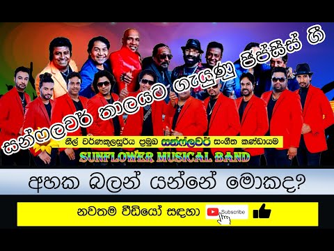 🎵 සන්ෆලවර් තාලයට ගැයුණු ජිප්සීස් ගී - අහක බලන් යන්නේ මොකද? | Gypsies Songs with SUNFLOWER