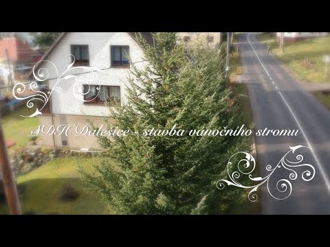 SDH Dalešice  - Vánoční stromek 2017