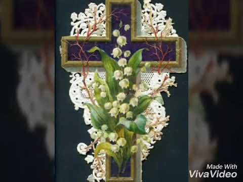 Padre Pio ho bisogno di Te