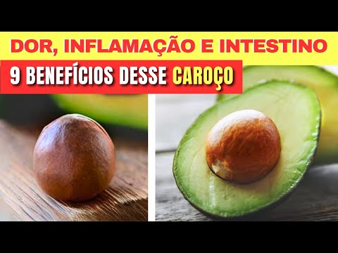 9 Benefícios do CAROÇO DE ABACATE (Dor, Inflamação, Intestino e mais) - Receitas e Como Usar