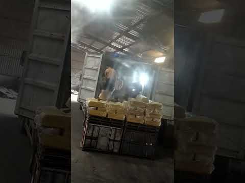 Phú Giáo OR043-1 DFSU1891568