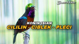 Download lagu KOMPILASI TEMBAKAN KOLIBRI NINJA GACOR FULL ISIAN CILILIN CIBLEK PLECI COCOK UNTUK MATERI KONIN mp3
