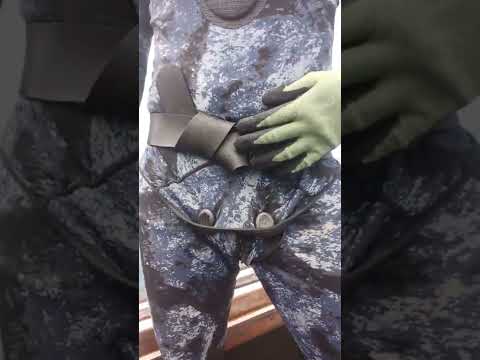 Freediving weight belt security basics.