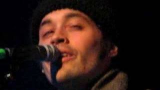 Mewithoutyou - yellow spider