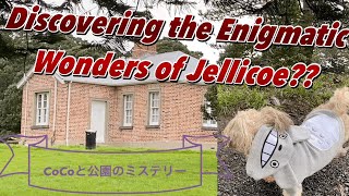 【YouTube-Dog Walk in New Zealand】Unveiling the secrets of this park?? Exploring Hidden Jellicoe Park