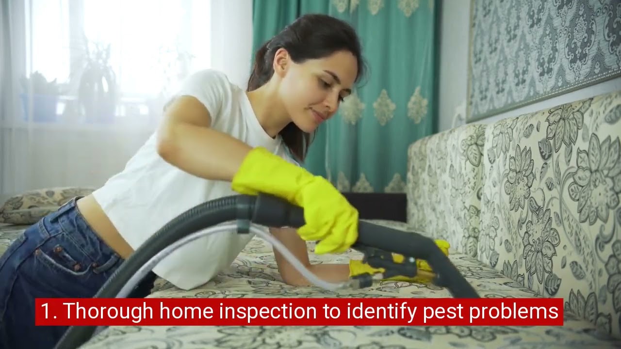 Reliable Residential Pest Control Services | Gam Exterminating Jacksonville