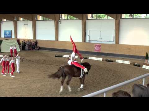 Bayerische Meisterschaften 2011 - Franken-Junior I.mov