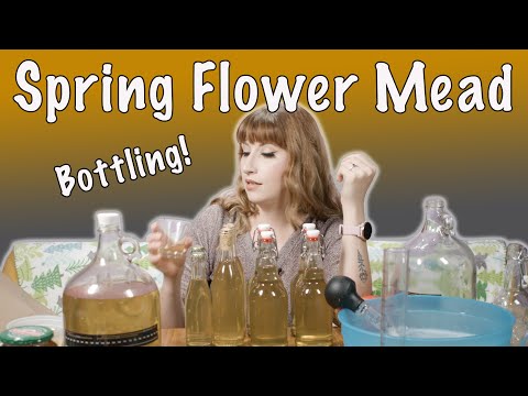 Spring Flower (& Dandelion) Mead Bottling