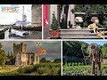 LIVE from Waterford, Ireland | Evine