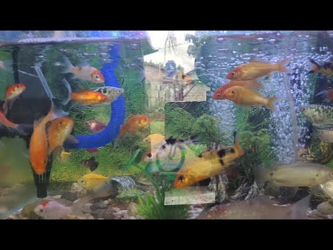 [TANPA IKLAN] Kumpulan Lagu Hindia x Feast | TOP 20 PLAYLIST #hindia #feast #Laguhindia